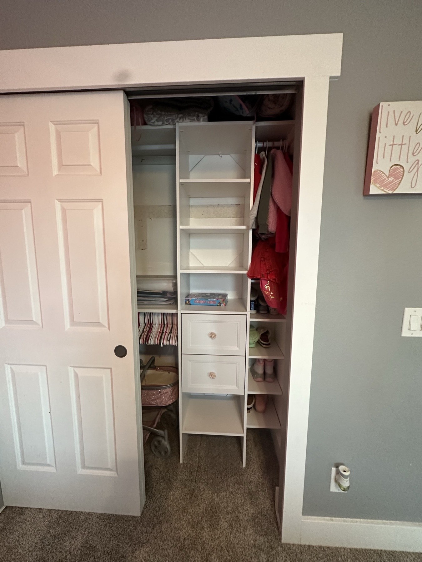 Custom built ins denver storage
